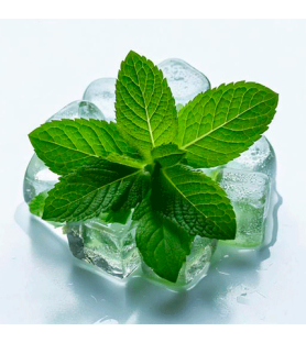 Menthol Natural flavour